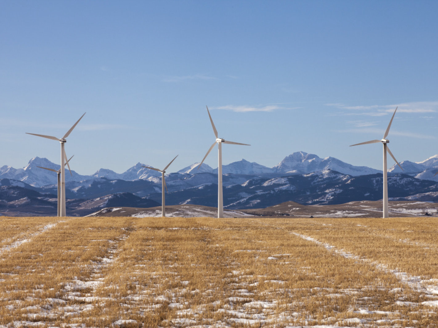 Lethbridge College wind turbines landscape panorama view